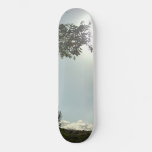 ESTILO Y DISEÑO DE PATINETA