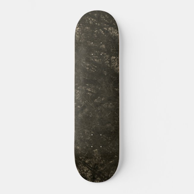 ESTILO Y DISEÑO DE PATINETA (Anverso)