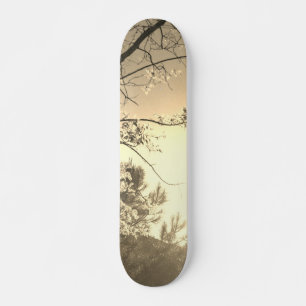 ESTILO Y DISEÑO DE PATINETA