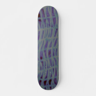 ESTILO Y DISEÑO DE PATINETA