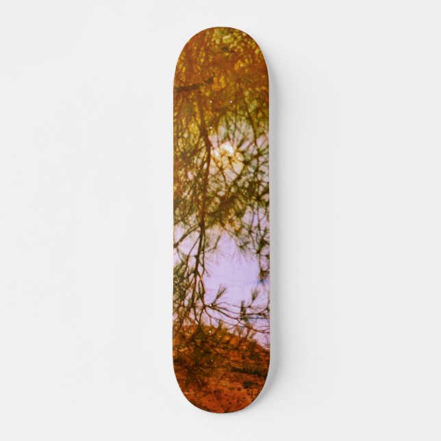 ESTILO Y DISEÑO DE PATINETA (Anverso )