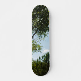 ESTILO Y DISEÑO DE SKATEBOARD