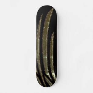 ESTILO Y DISEÑO DE SKATEBOARD