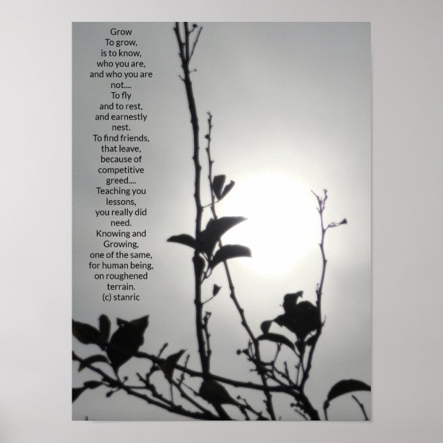 ESTILOS DE ARTE Y DISEÑO poster (Frente)