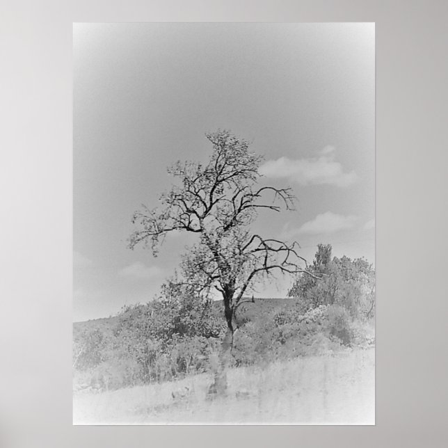 ESTILOS DE ARTE Y DISEÑO poster (Frente)