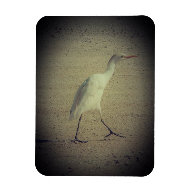 ESTILOS DE DECORACIÓN DE ARTE CON IMANES (Vertical)