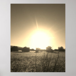 ESTILOS DE DISEÑO Y ARTE DE PÓSTER