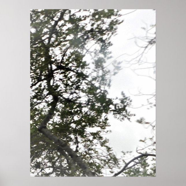 ESTILOS DE DISEÑO Y ARTE DE PÓSTER (Frente)