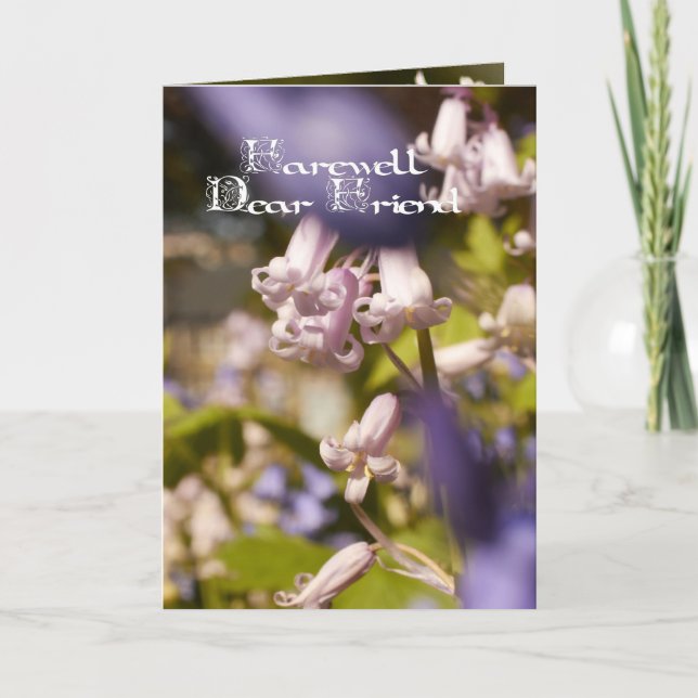 Estimado amigo de despedida, tarjeta de (Anverso)