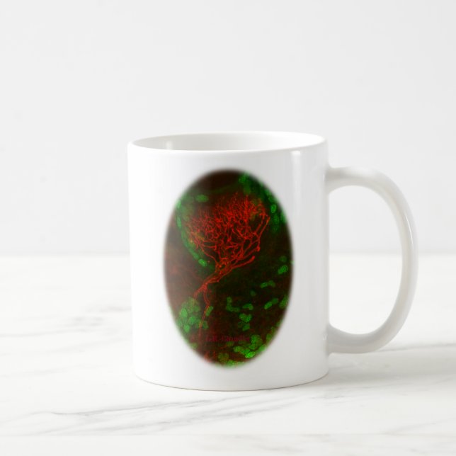 ¡Estimule sus neuronas! taza de café (Derecha)
