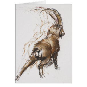 Estiramiento de la pierna