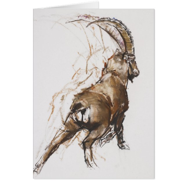 Estiramiento de la pierna (Frente)