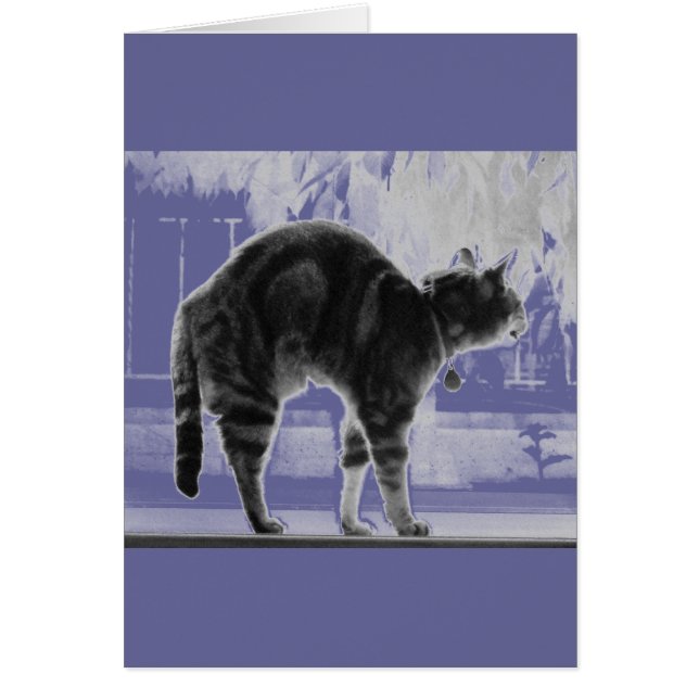 Estirando lápiz índigo (Frente)