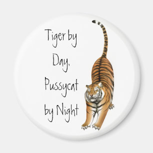 Estirar el imán del tigre de Bengala