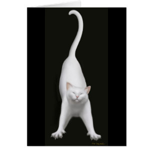 Estirar la tarjeta blanca del gato