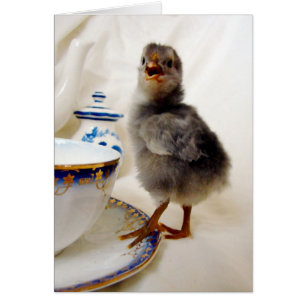 "Esto no es parte de mi contrato" dice la chica