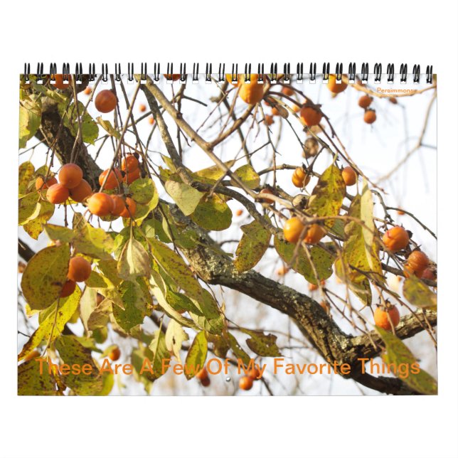 Estos Son Algunos De Mis Calendario Favoritos (Tapa)