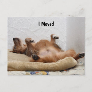 ¡Estoy Agotado! Tarjeta Postal