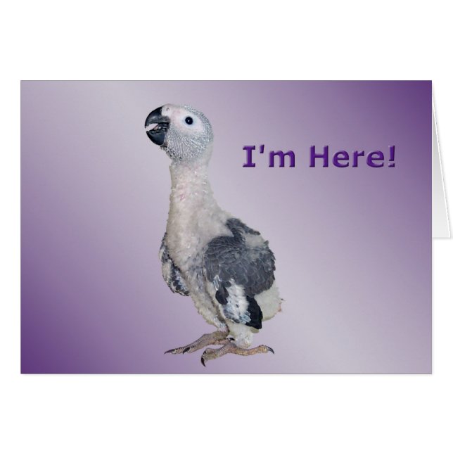 Estoy aquí (Anverso (Horizontal))