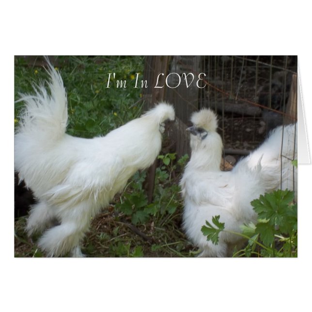 Estoy enamorado (Anverso (Horizontal))