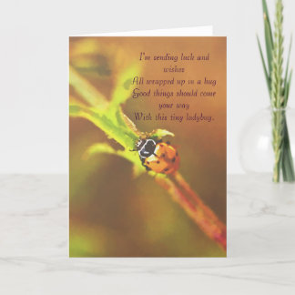 Estoy mandando suerte...ladybug tarjeta de bienven