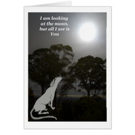 Estoy mirando la luna