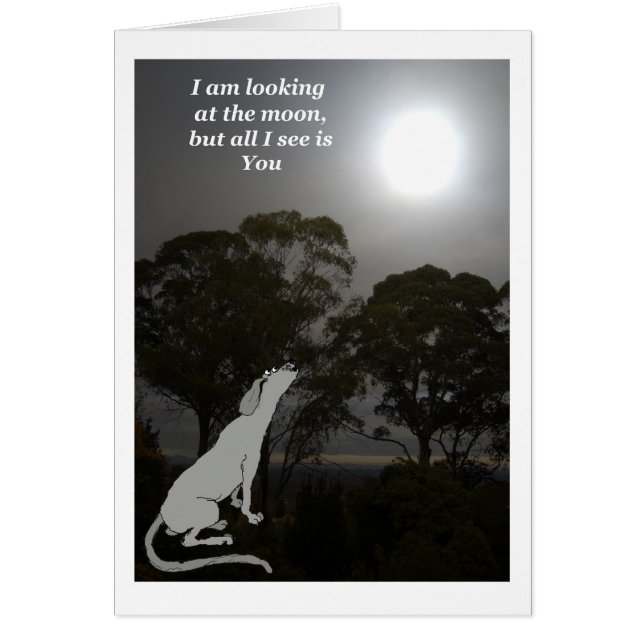 Estoy mirando la luna (Frente)