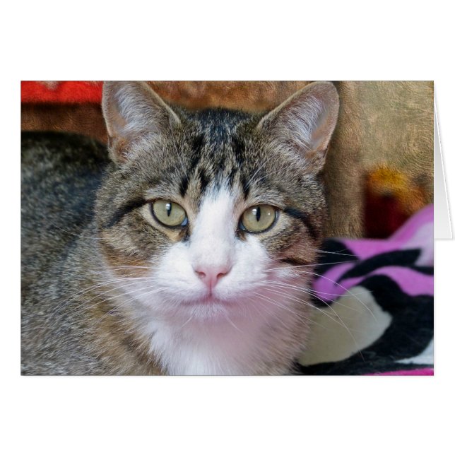 Estoy pensando (Anverso (Horizontal))