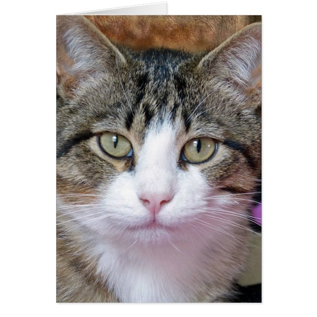 Estoy pensando (Frente)