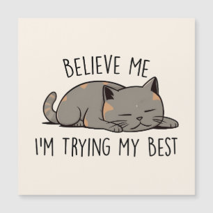 Estoy probando mi mejor gato lindo