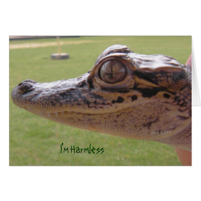 Estoy sin daño (Anverso (Horizontal))