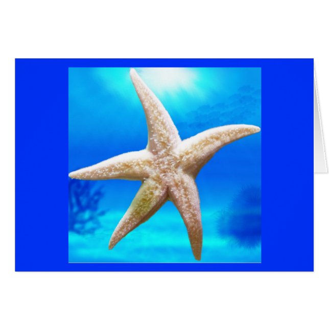 Estrella brillante (Anverso (Horizontal))