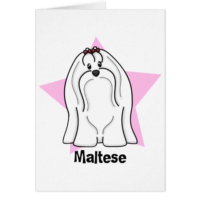 Estrella de Kawaii maltesa (Frente)
