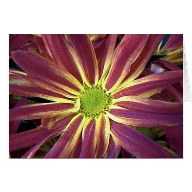 Estrella de las naturalezas (Anverso (Horizontal))