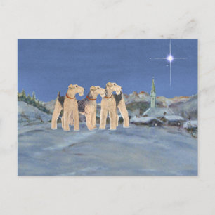 Estrella de Navidad
