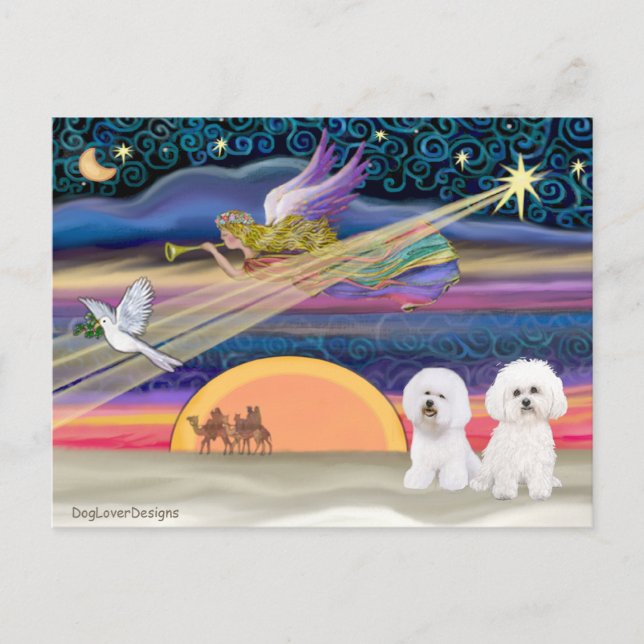 Estrella de Navidad - Bichon Frise (dos) (Anverso)