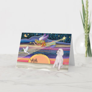 Estrella de Navidad - Caniche (estándar blanco) -