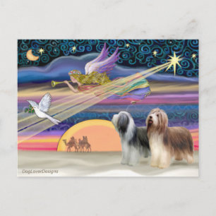 Estrella de Navidad - Collies barbados (dos)