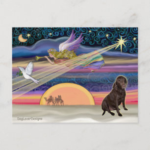 Estrella de Navidad - Labrador Retriever (Chocolat