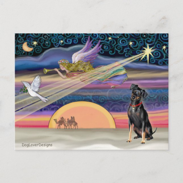 Estrella de Navidad - Pinscher Miniatura 1 (Anverso)