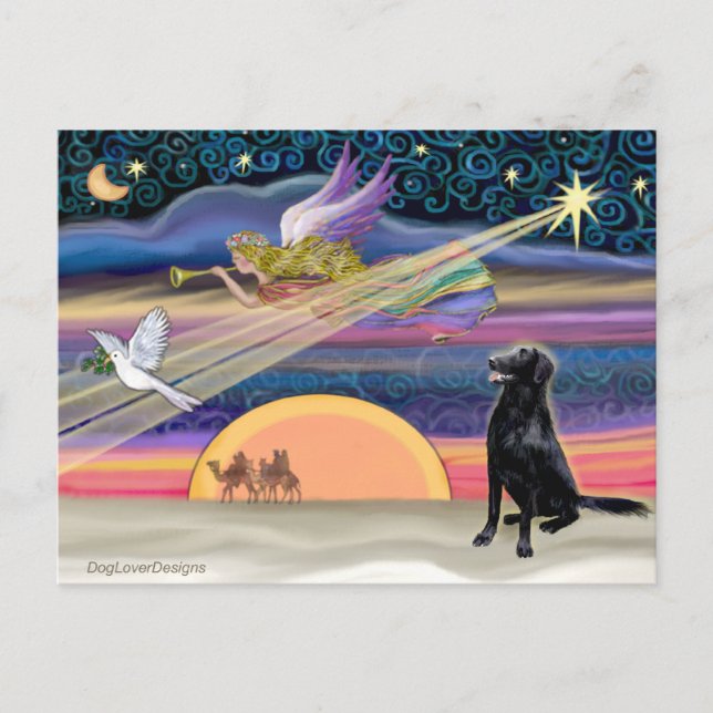 Estrella de Navidad - Retriever de capa plana (Anverso)