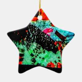 Estrella de ornamento abstracta, flor seca transpa
