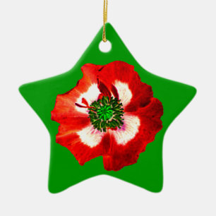 Estrella de ornamento verde rojo blanco y adormide