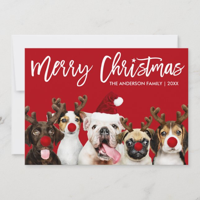 Estrella del guión del pincel Feliz Navidad Perros (Anverso)