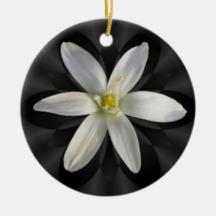 Estrella del ornamento del ~ de la flor de Belén