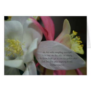 Estrella fugaz - 3:11 de Ecclesiastes de la