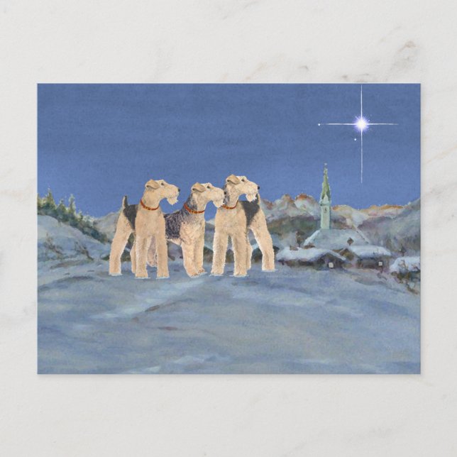 Estrella navidad (Anverso)