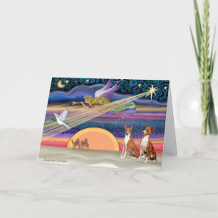 Estrella Navidad - Basenjis (dos)