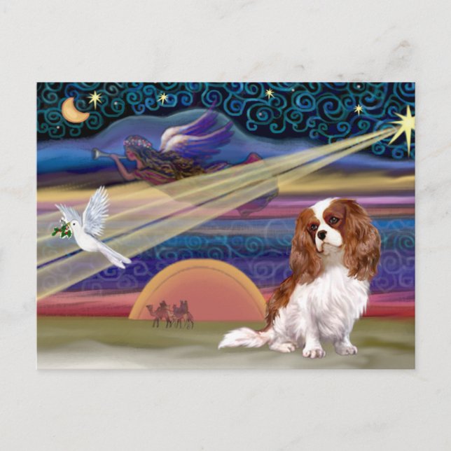 Estrella Navidad - Cavalier (Blenheim) (Anverso)