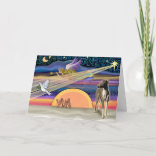Estrella Navidad - Greyhound italiano 1